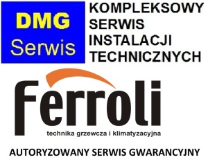 Przyjazd diagnostyczno-techniczny do kotłów wiszących marki Ferroli